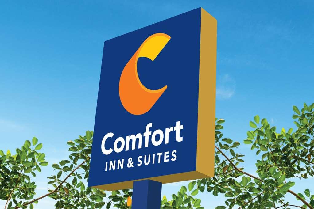 Comfort Inn & Suites יומה מראה חיצוני תמונה